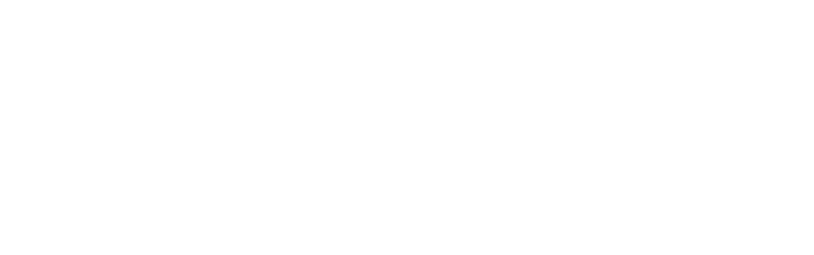 Primary Logo 1
