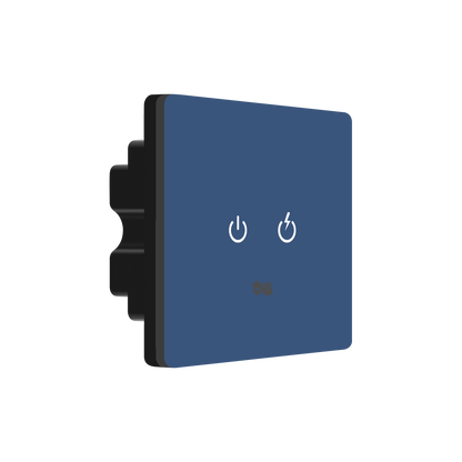 2 Gang IR Remote & Smart Touch Switch - Blue